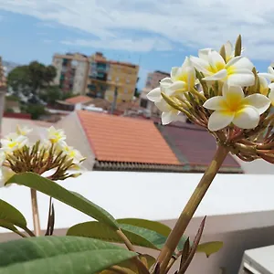 Plumaria Apartamento Málaga